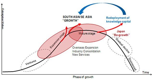 Investment Phase Of Growth